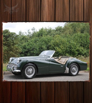 Металлическая табличка Triumph TR3A Металлическая табличка Triumph TR3A